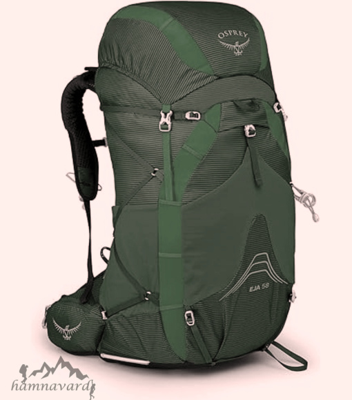 کوله پشتی Osprey Exos 58 اورجینال